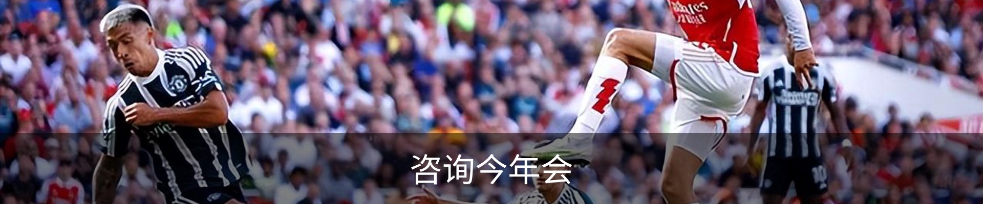 咨询今年会